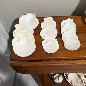White Scallop Seashell Set - Decoupage ,  Decorative Shells